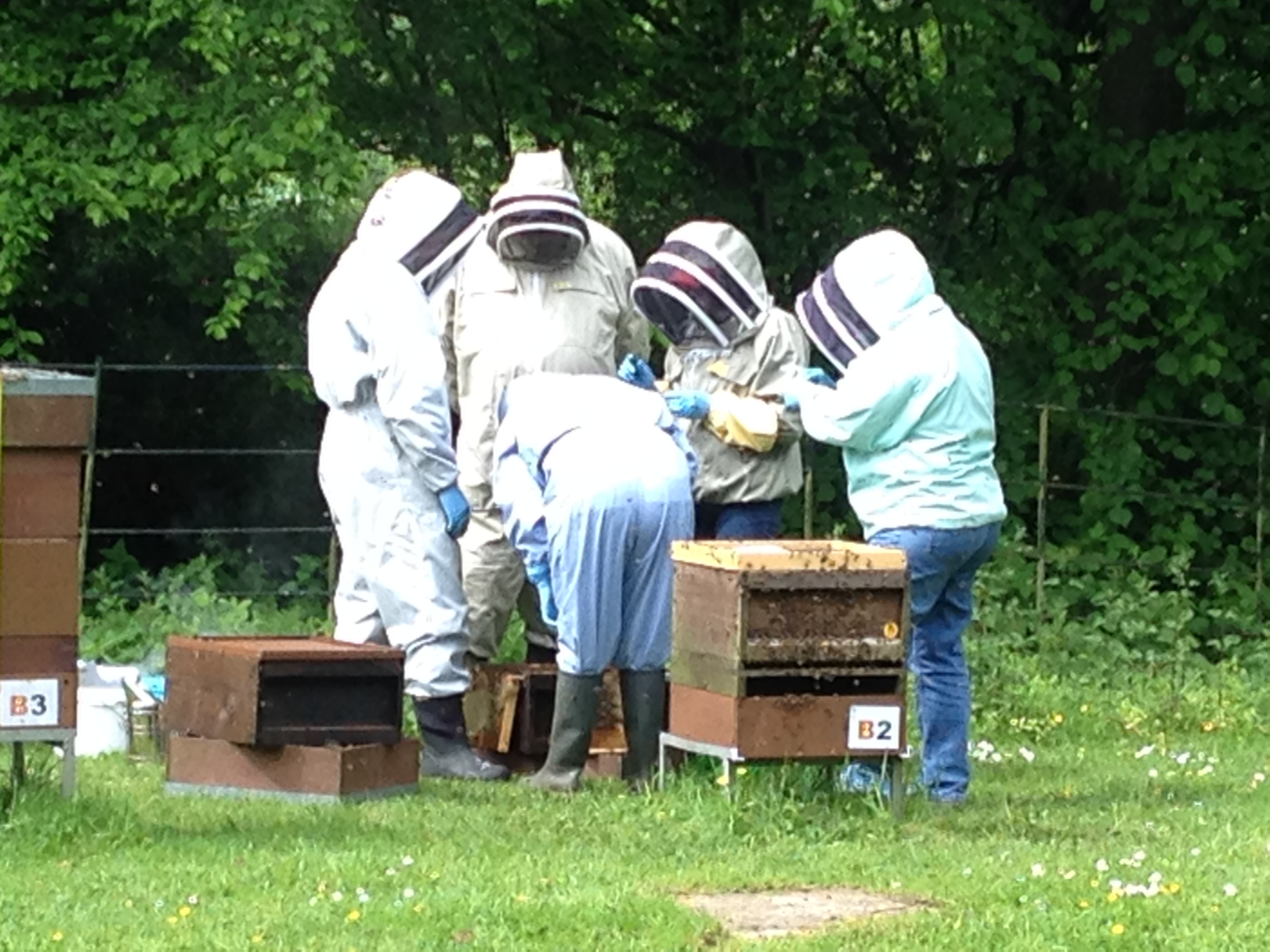 Bee-hind the scenes with the Manchester & District Beekeepers’ Association